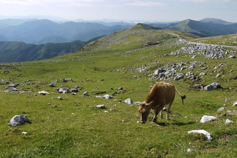 日本代表と楽しもうぜ！【第1回久万高原高地トレーニングPARTY！】