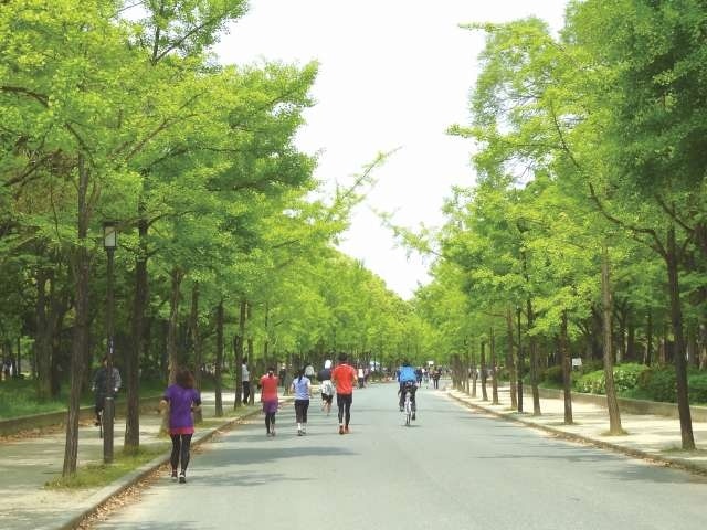 ランナーの聖地♪大阪城公園