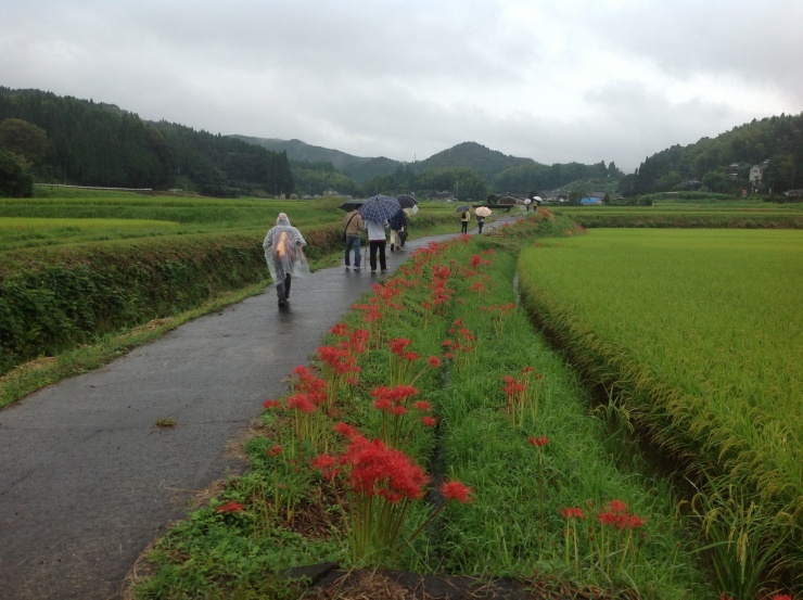 極楽にちょうど彼岸花が咲き誇ります