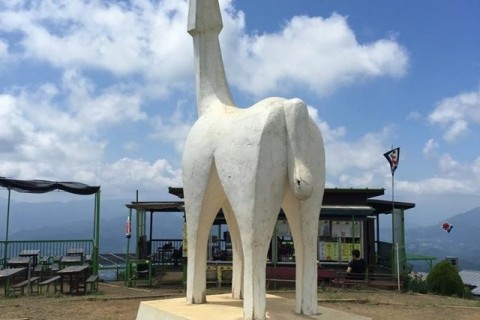 【かまくRUN】高尾トラサルトレイルツアー　約40k