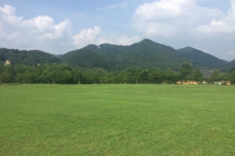 第1回　ドリ×ラン×ランチ