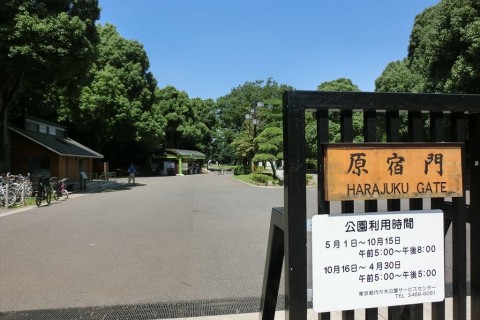 走りやすい代々木公園を朝ラン