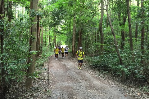 我孫子市内を走ろう！ 夏のマラニック