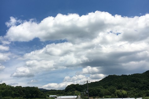 【オクトーバーラン事務局公認イベント】秋の明日香村 30㎞LSD