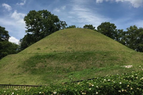 【オクトーバーラン事務局公認イベント】秋の明日香村 30㎞LSD