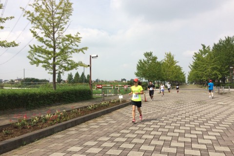 【ハーフあります！】第14回 加須はなさき毎月マラソン （初参加登録専用）