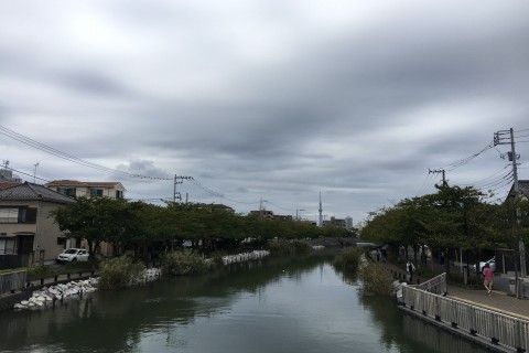 【10月15日(土)開催】東京水辺ラン（約16.5km or 約29km）