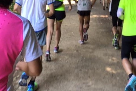 ビギナーRUN in 西京極