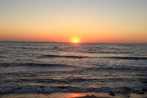 &ldquo;心・体・食&rdquo;　心と身体のちょうしがよくなるモニターツアー