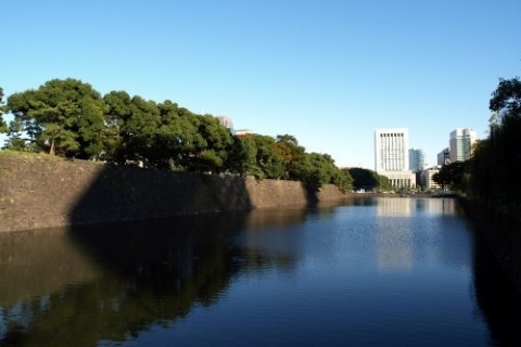 第51回　皇居ハーフマラソン(計測チップ/オンライン完走証)