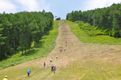 「ゲレンデ逆走マラソン2017　モーグルアタックレース」ボランティア大募集！