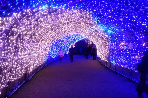 第51回　鹿児島市民ランニング練習会