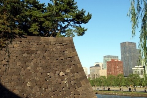 第51回　皇居ハーフマラソン(計測チップ/オンライン完走証)