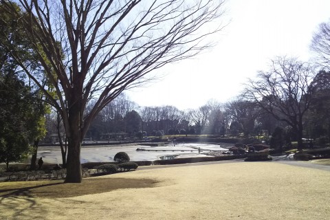 【中央公園】早朝練習会78