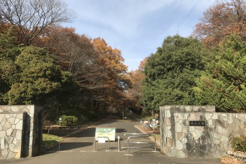 ‟日本初”の女子フルマラソン大会の地を巡る【多摩湖ラン＆ウォーク】