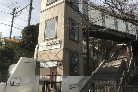 ‟日本初”の女子フルマラソン大会の地を巡る【多摩湖ラン＆ウォーク】