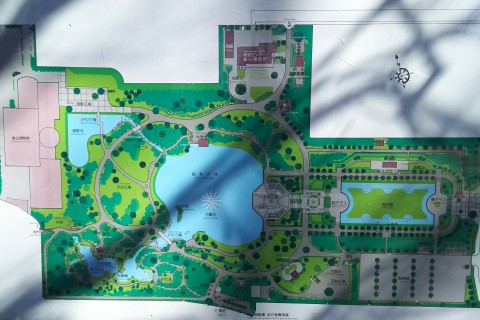 【中央公園】早朝練習会78