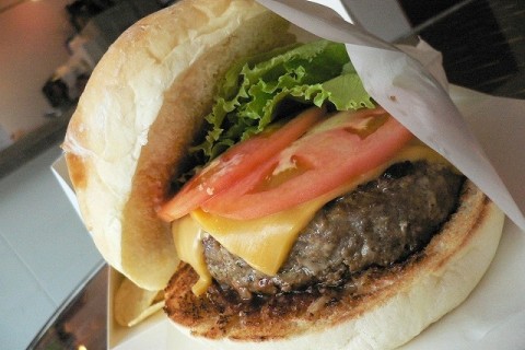 京都ハンバーガー付き旅ラン