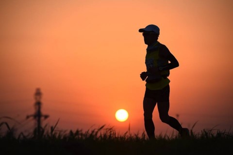 柴又100K ～東京⇔埼玉⇔茨城の道～　ボランティア募集（10月9日開催）