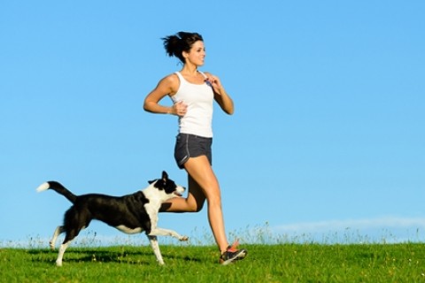 第５回ドッグマラソンin葛西臨海公園