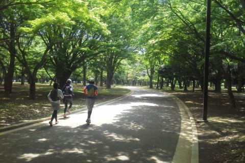 ★ランナーズμ表参道メンバー募集！　 平日火曜朝の表参道界隈を、ごっ機嫌に駆け抜ける。