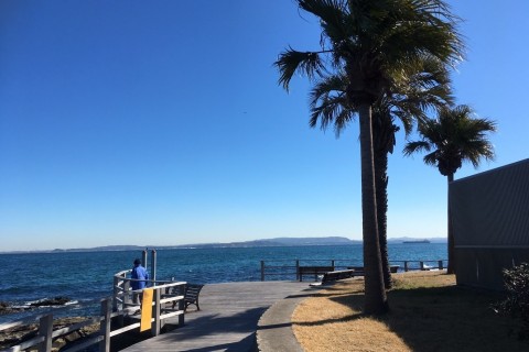 七夕潮風マラニック@横須賀