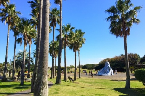 【2月金曜夜定例】ラチエンAC 40分ビルドアップ走 ※初参加無料