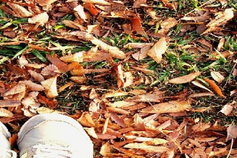 カジュアルランニング ～楽しく走っておまけに速くなる～