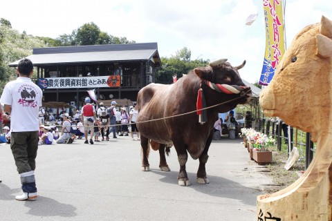 2017越後長岡ツーデーマーチ