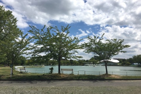 2017　郡山エンジョイマラソンリレー