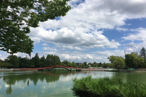 2017　郡山エンジョイマラソンリレー