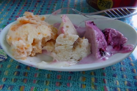 両河内ロゲイニング2017