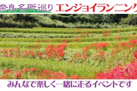 第13回観光ラン・奈良名所巡りエンジョイランニング～案山子ロードから稲渕の棚田と彼岸花