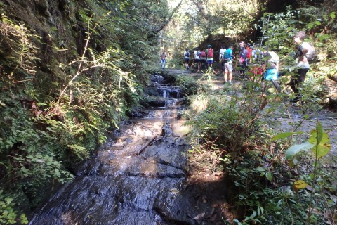 【 走力不問 】鎌倉サンセットトレイルラン15km