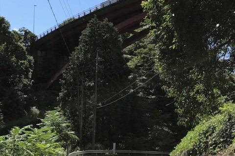 坂トレで脚づくり！秋の猿投グリーンロードラン&猿投温泉《10kmエンジョイコース》