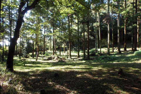 【 走力不問 】鎌倉サンセットトレイルラン15km