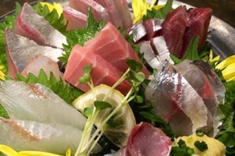 第五回静岡を元気に！静岡平野を走る！縄文と古墳へ駅南探訪ナイトラン