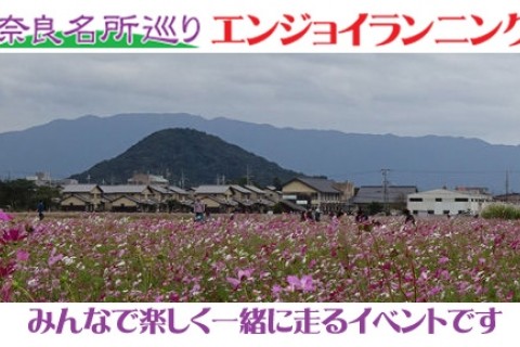 第14回観光ラン・奈良名所巡りランニング～大和は国のまほろば、藤原宮跡のコスモスと大和三山の眺望