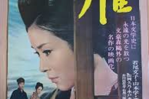 読書の秋は文豪作家ラン！中野から芙美子、漱石、鴎外、一葉の