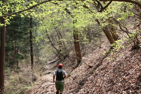 四季折々の自然を感じに御岳山へ！初級者向けトレイルランニングツアー（東京都）