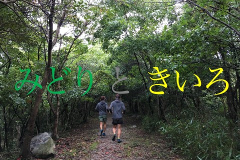 みどりときいろ