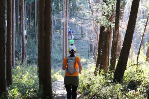 細かいアップダウンを繰り返す「燃焼系トレイル」へ！／初級者向けトレイルランニングツアー（埼玉県）