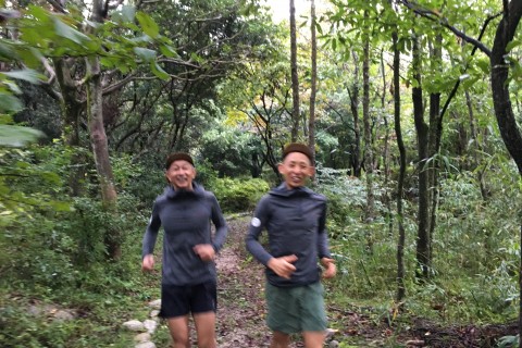 みどりときいろ