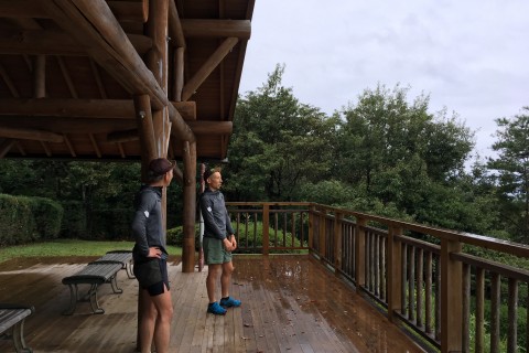 みどりときいろ