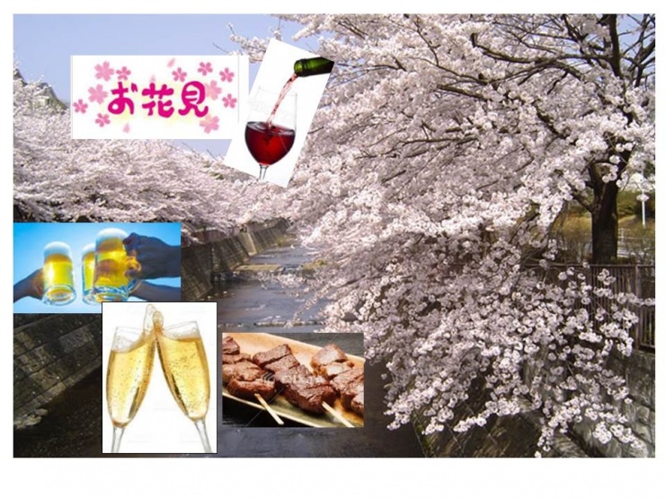 2017年の花見ラン企画案内画像です