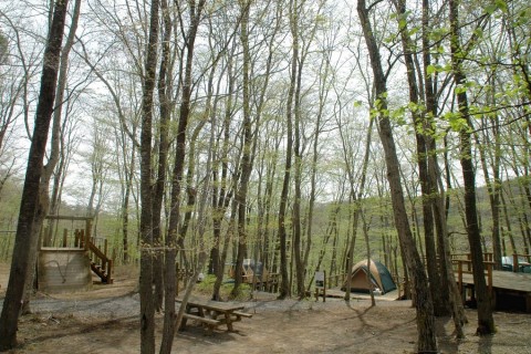 葛尾村常設オフロードコース開設記念（模擬）レース