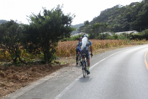 クリーンライド