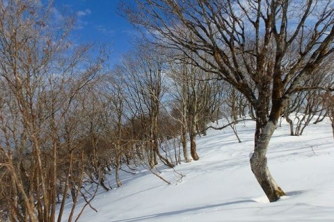 ≪ワンデルング≫［滋賀］雪の蛇谷ヶ峰アタック！【中（初）級】
