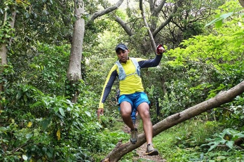 照葉樹生い茂る自然豊かな森でトレイルラン！初級者向けトレイルランニングツアー（神奈川県）