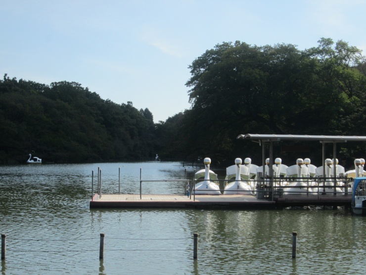 約10kmが井の頭公園です。神田川の水源の弁天池があります。